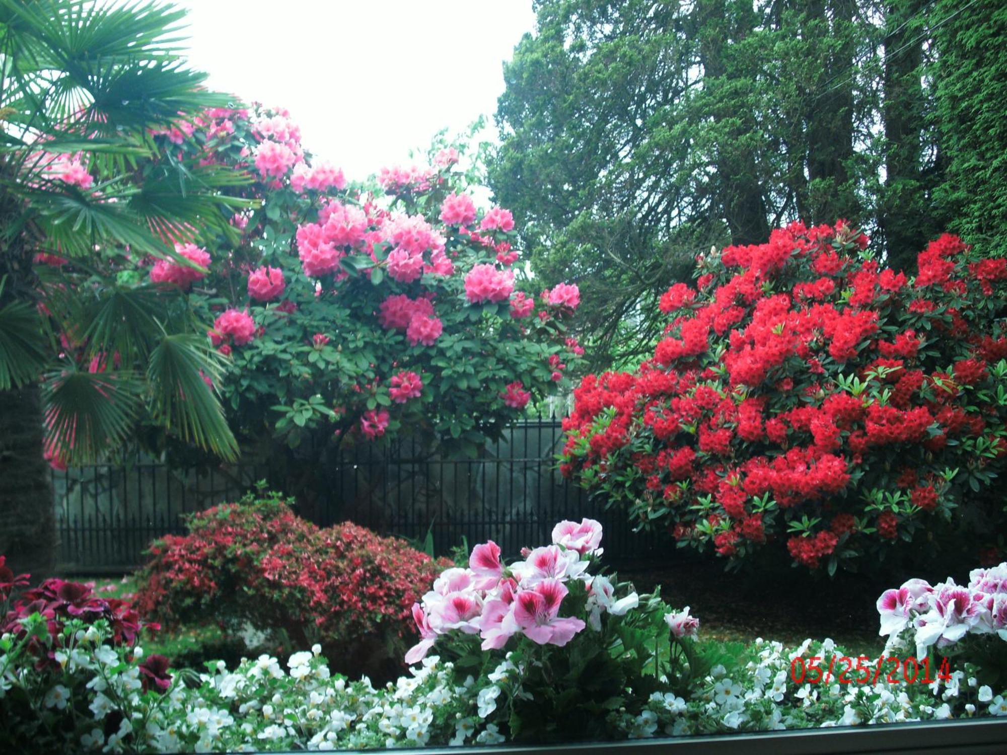 The Stone Hedge Bed And Breakfast ริชมอนด์ ภายนอก รูปภาพ
